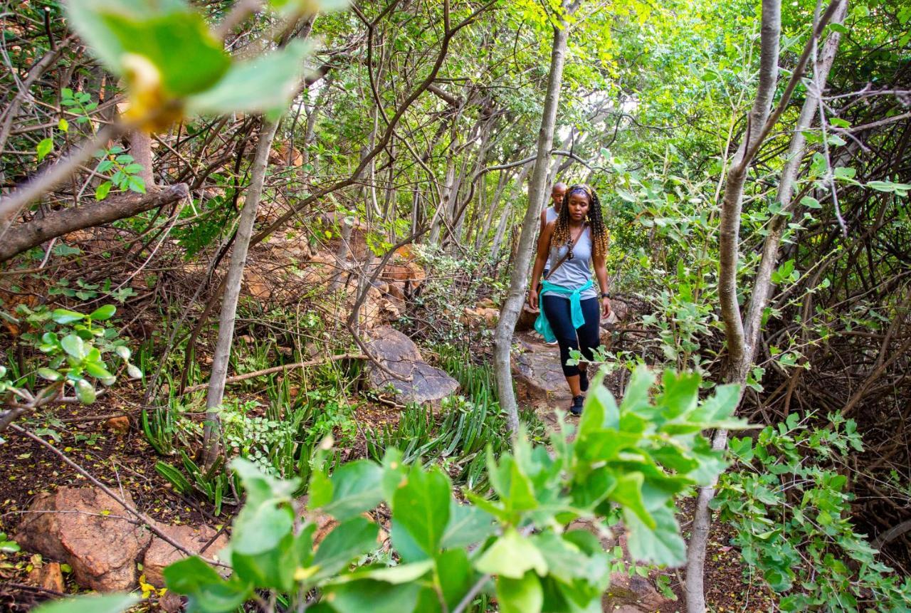 The Cliffside Boutique Getaway Guest House Johannesburg Luaran gambar